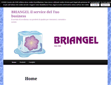 Tablet Screenshot of briangelservice.com